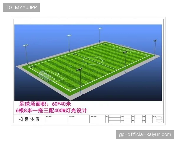 足球场馆节能灯具集中采购中标公告,足球场馆照明